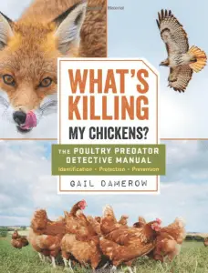 ¿Qué está matando a mis pollos?