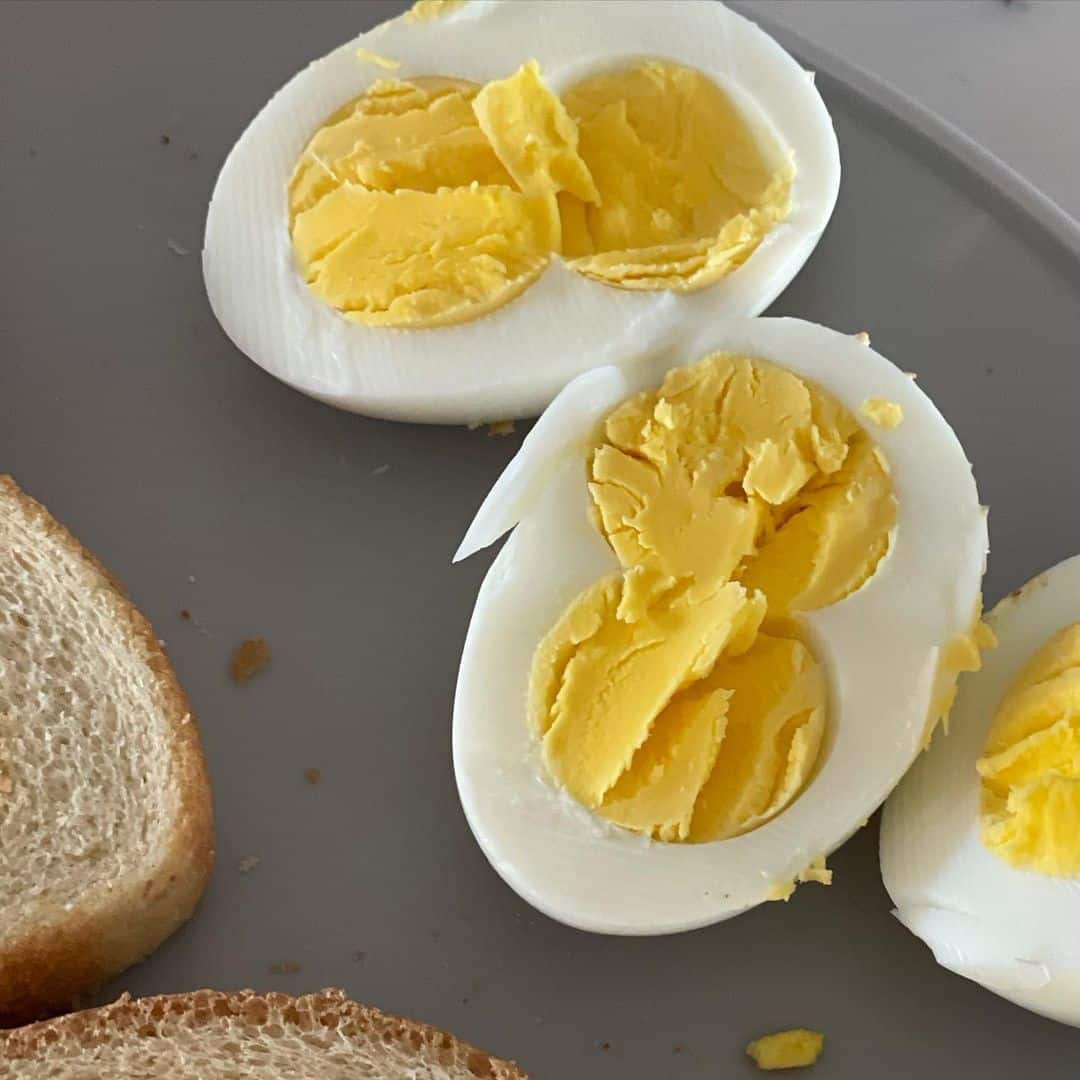 alimentos ricos en proteinas para pollos en muda