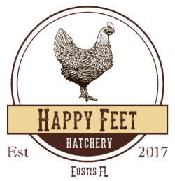 criaderos de pollos florida Happy Feet Hatchery