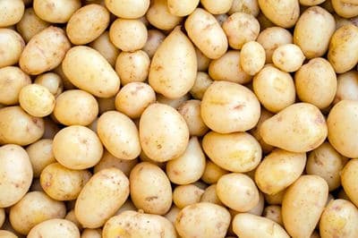 el pollo no puede comer patata blanca