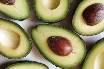 las gallinas no pueden comer aguacate