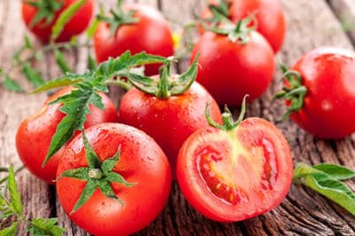 el pollo no puede comer tomates