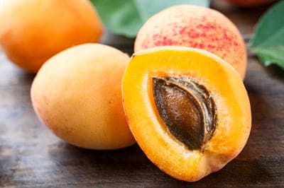 las gallinas no pueden comer hueso de fruta de hueso