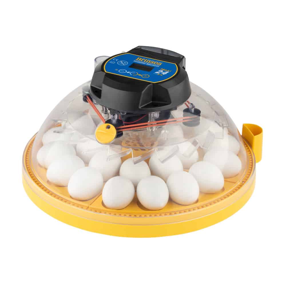 Mini incubadora automática de huevos Brinsea de 7 huevos