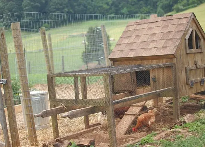 DIY Chicken Run Idea Cercado de metal Chicken Run