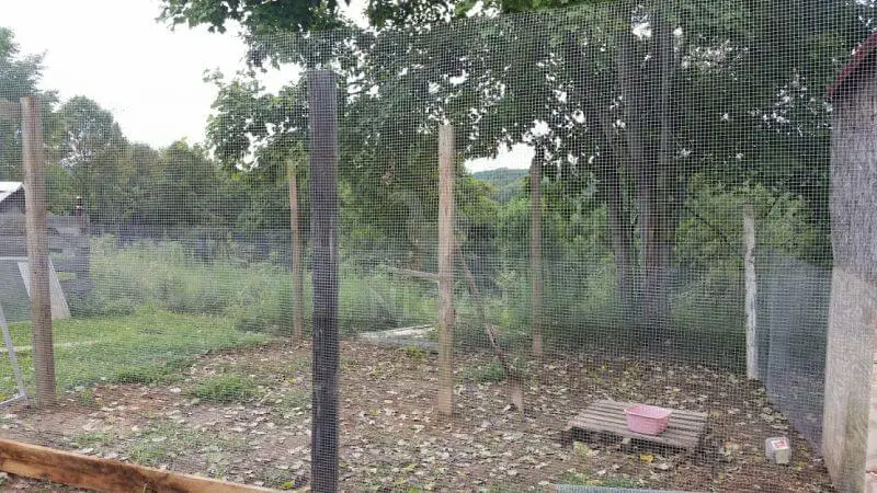 Ideas de bricolaje para gallineros Gallineros baratos y a prueba de depredadores