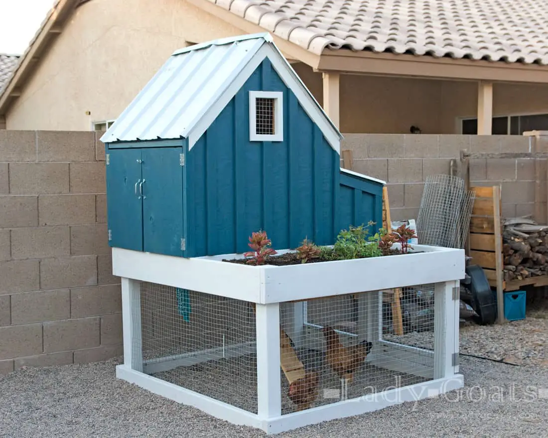 DIY Chicken Run Idea Chicken Run con jardinera