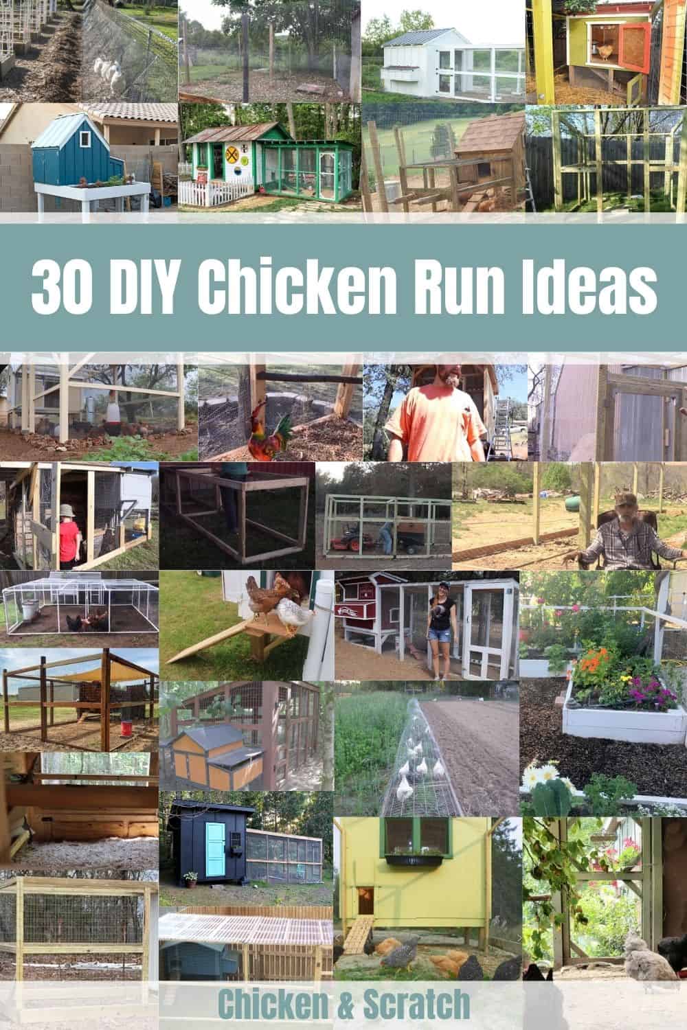 Ideas para correr pollos