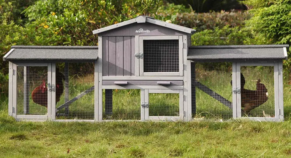 Paw Hut 98 Gallinero portátil de madera