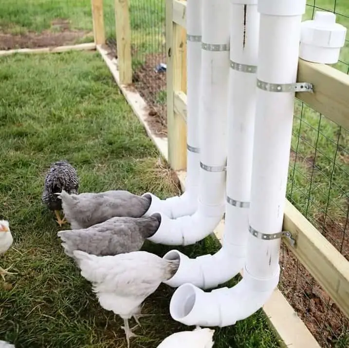 alimentador de pollo de pvc diy comederos de pollo de pvc hágalo usted mismo