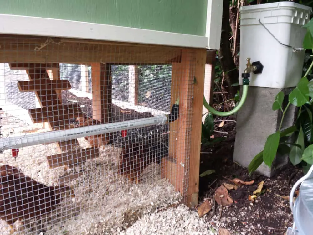 Alimentador de pollos de pvc, bebedero para pollos alimentado por gravedad diy