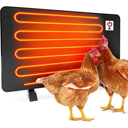 Calentador más dulce Calentador de gallinero seguro de 150 W