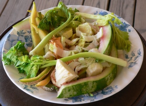 sobras de restaurantes