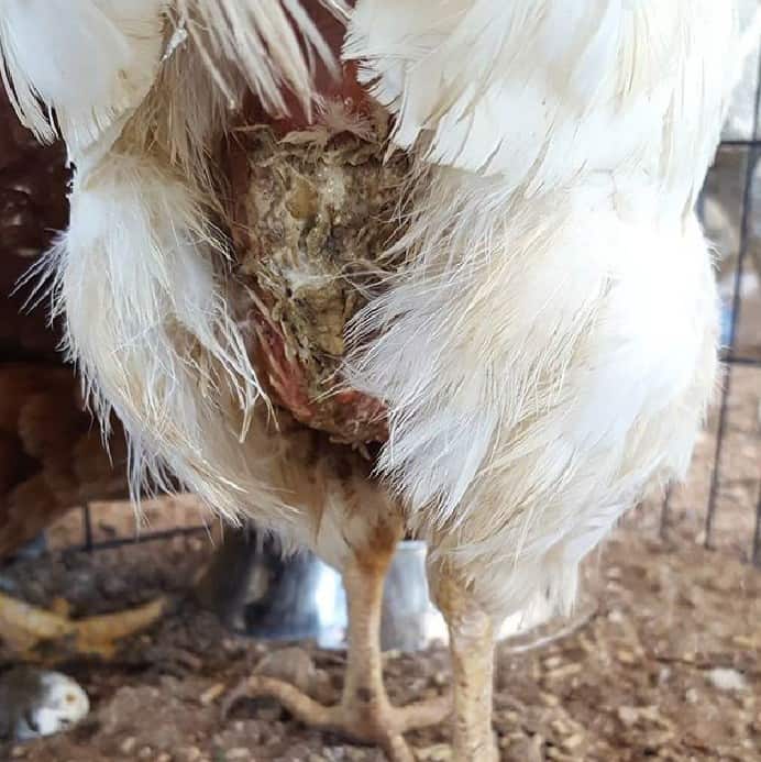 tratamiento de ventilación