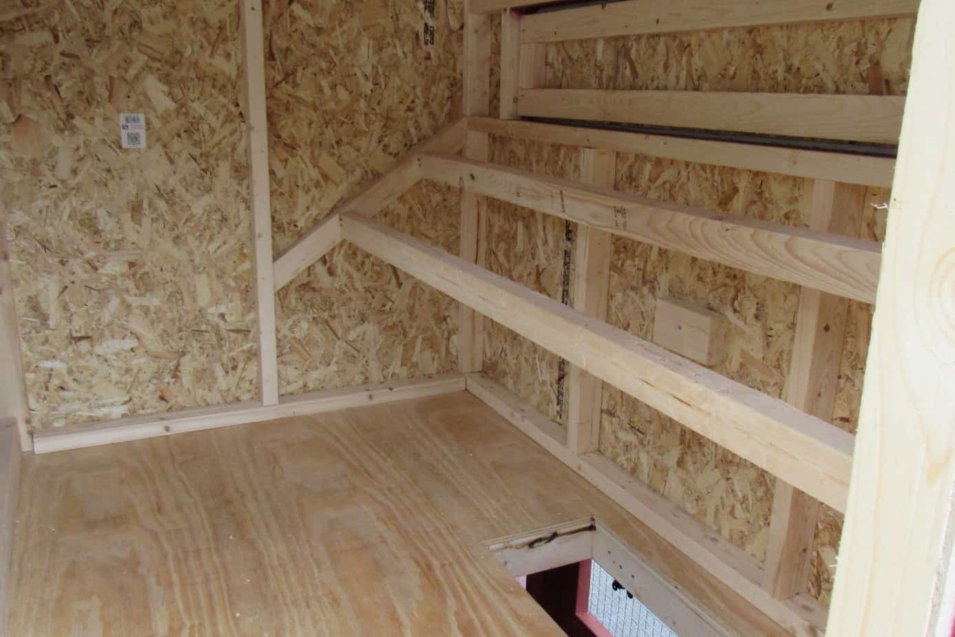 dimensiones del golpe de pollo