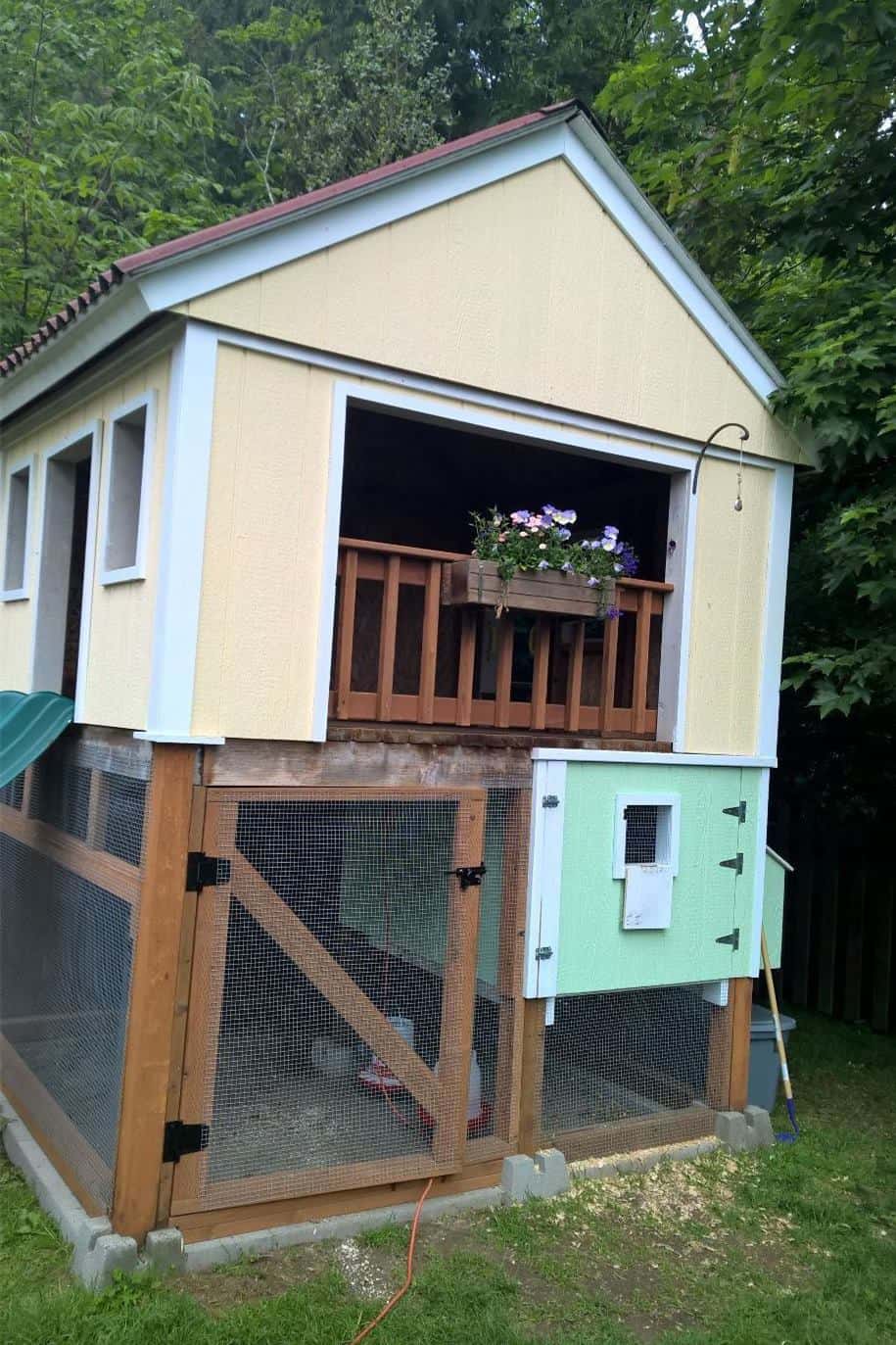 tamaño del gallinero por ave