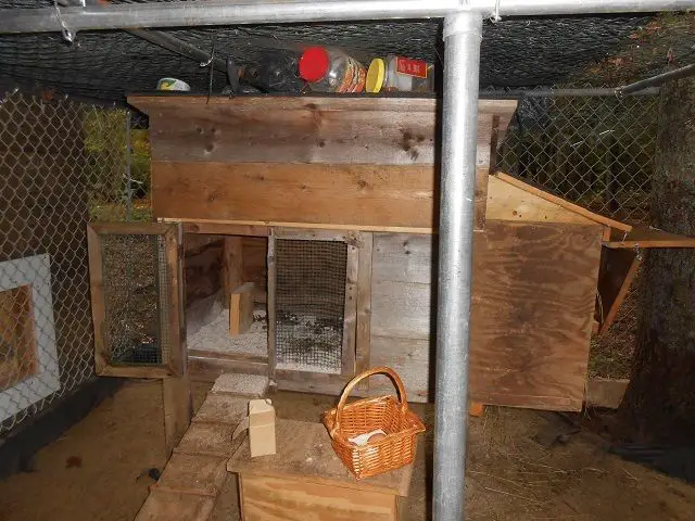 gallineros de palets