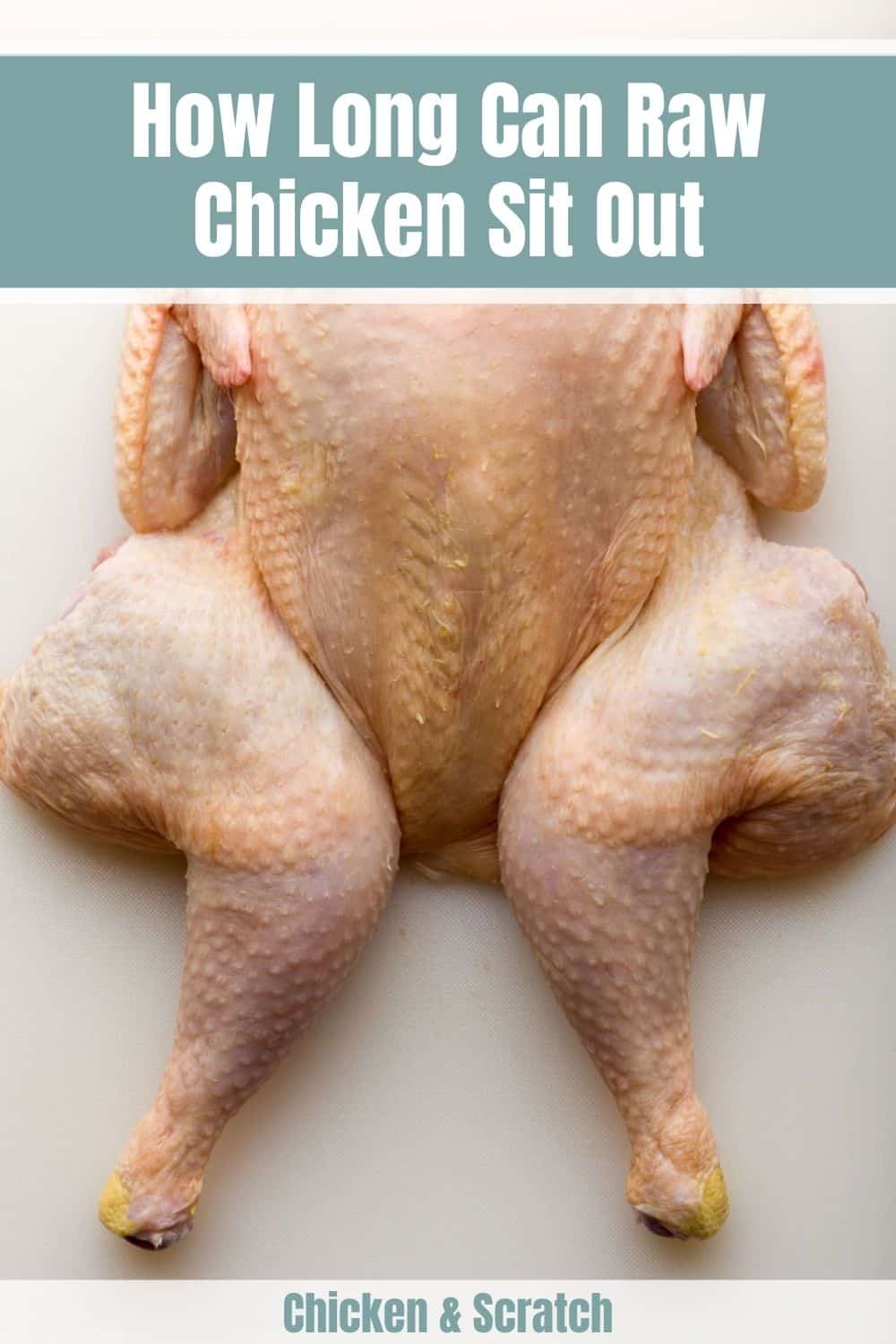 ¿Cuánto tiempo puede sentarse el pollo?