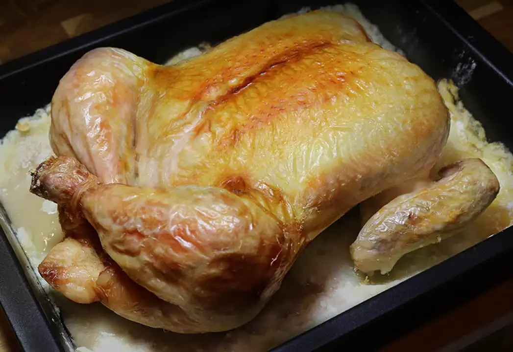 ¿Cuánto tiempo puede estar fuera el pollo?