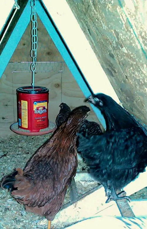 Alimentador de latas de café colgante