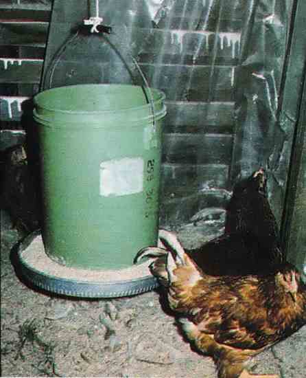 Comedero colgante para pollos