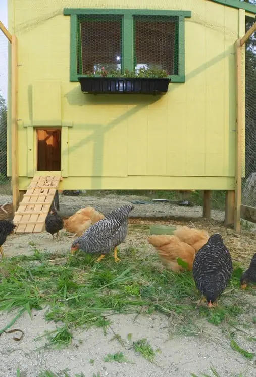 Plan cooperativo gratuito