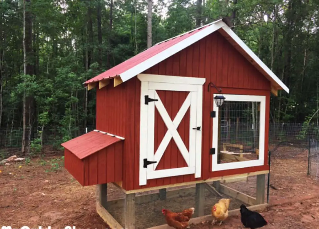 gallinero 4 x 8