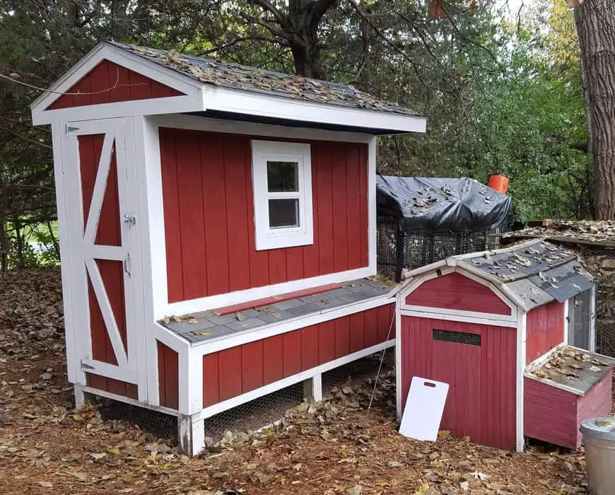 construir un gallinero 4x8