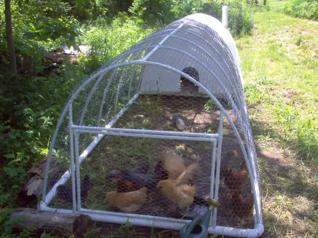 tractores de pollo de pvc