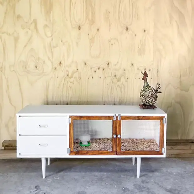 criadora de pollos de bricolaje