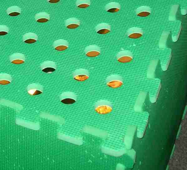 planes de criadoras de aves