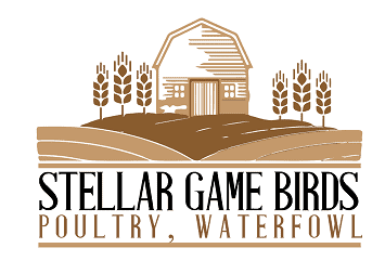 criaderos de pollos en Florida Stellar Game Birds Poultry, Waterfowl LCC