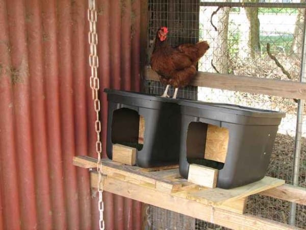 planos de cajas nido de gallinas