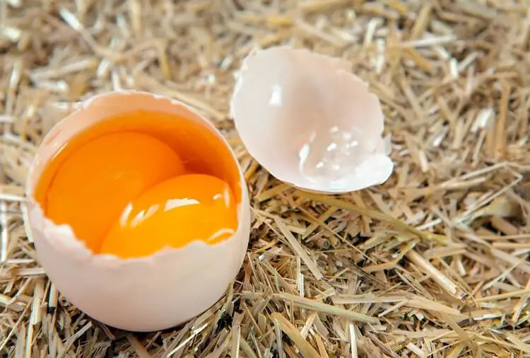 Un huevo de doble yema agrietado