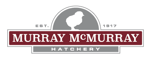 criaderos de pollos en iowa Murray McMurray Hatchery
