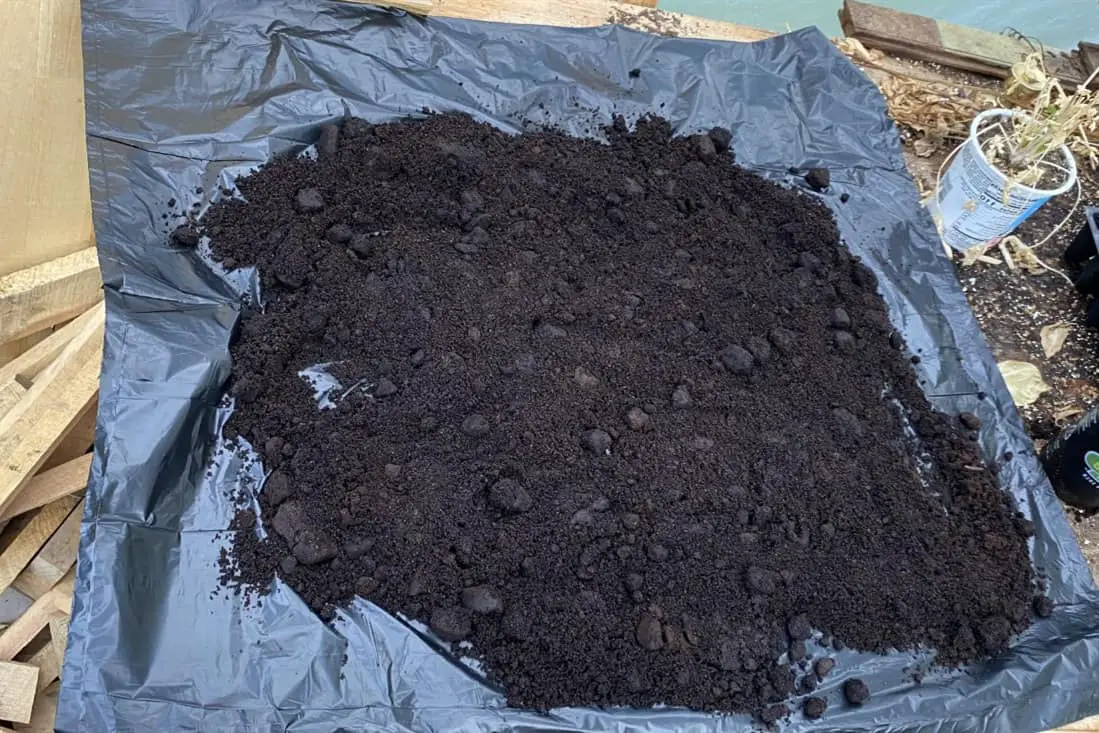 café molido de pollo