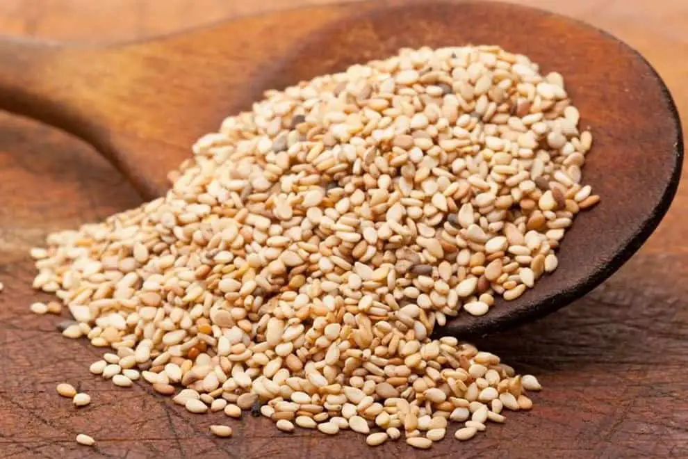 ¿Puede el pollo comer semillas de sésamo?