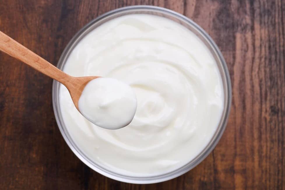 Los pollos comen yogur