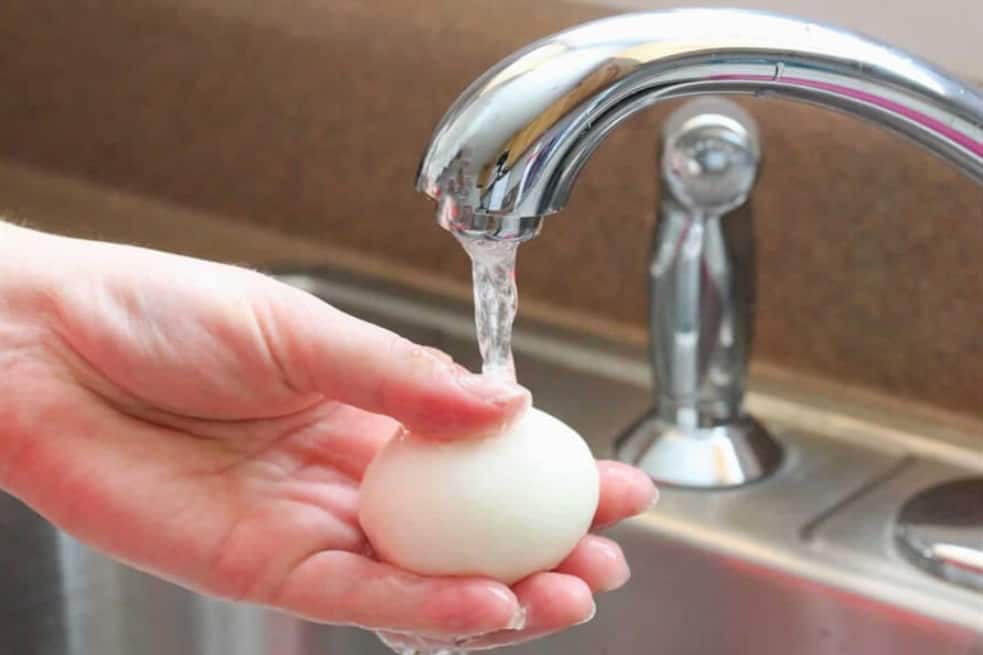 venta de huevos de gallina a domicilio