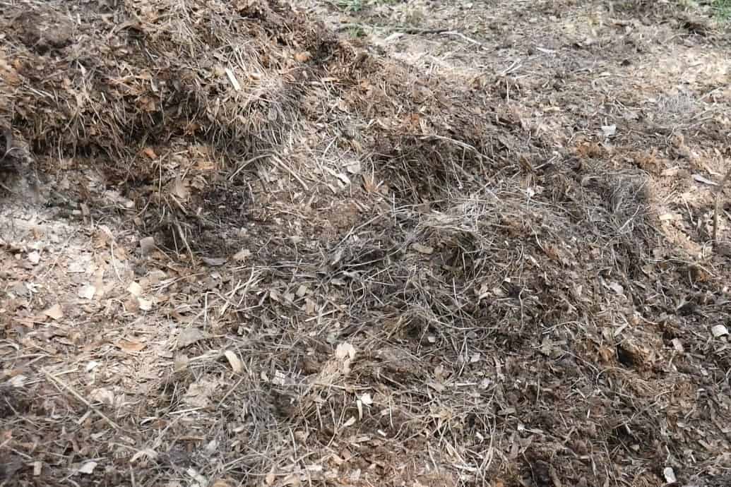 fertilizante de gallinaza