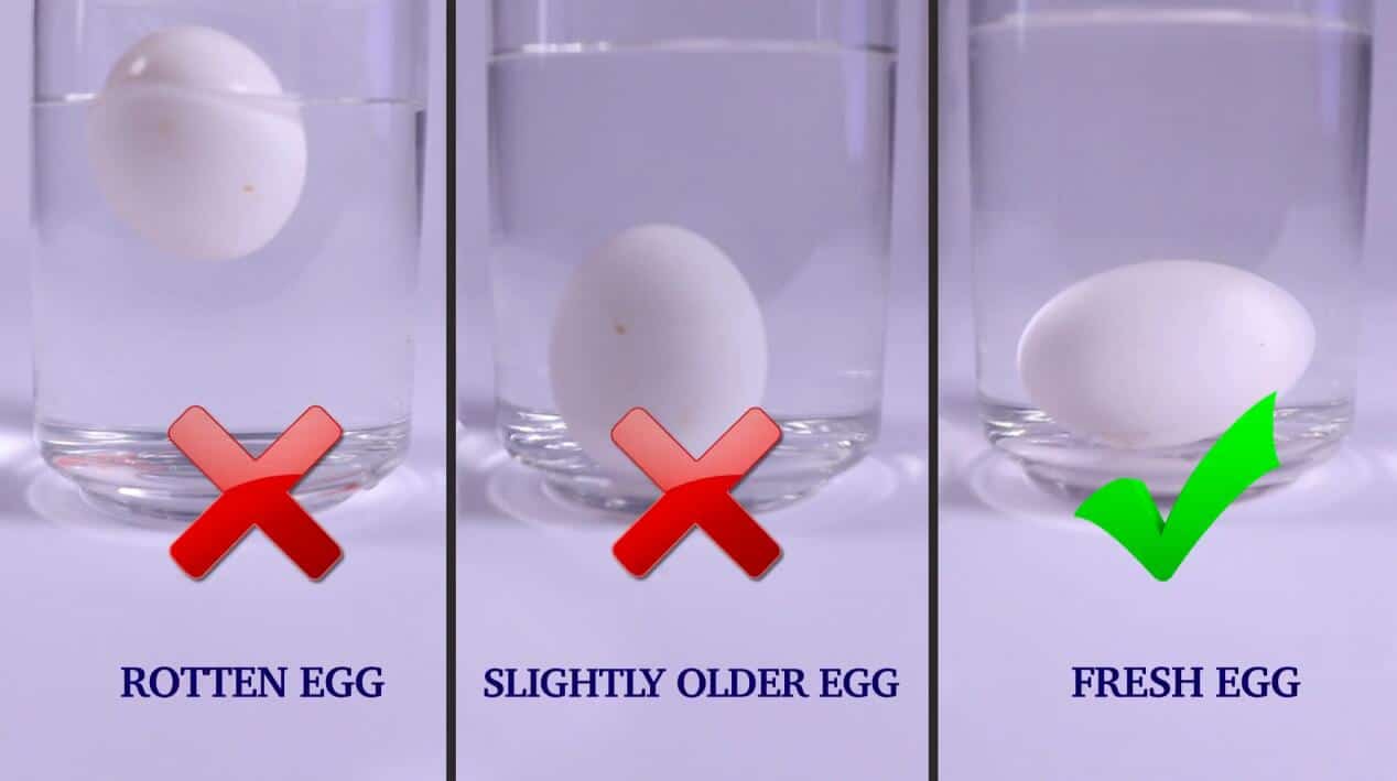 para cuanto tiempo sirven los huevos frescos
