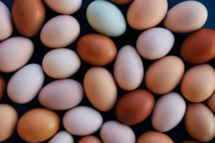 Huevos Multicolores