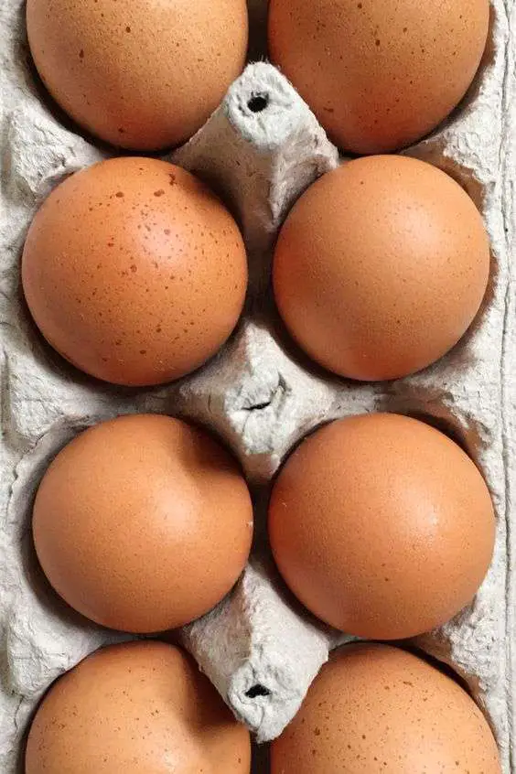 ¿Las gallinas Golden Sexlink son buenas ponedoras de huevos?