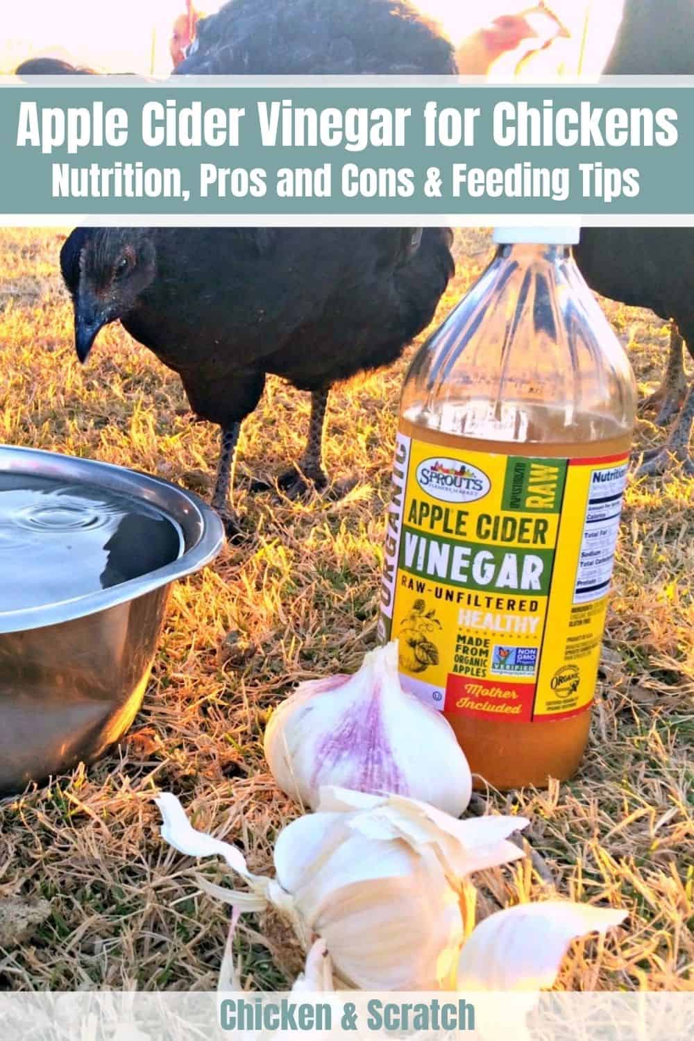 Vinagre de sidra de manzana para pollo