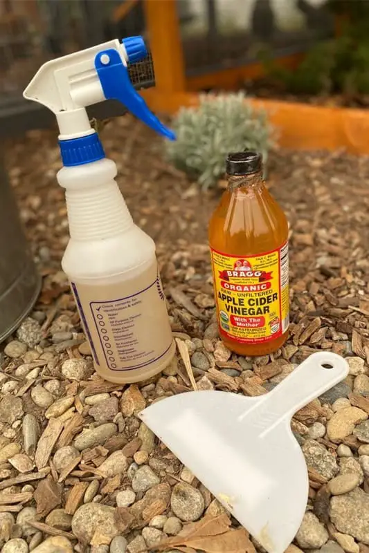 vinagre de sidra para gallineros