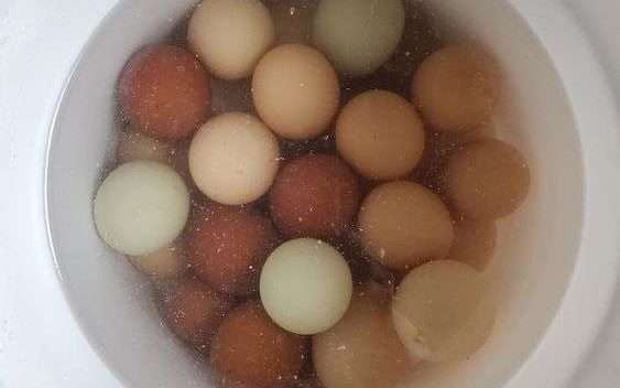 conservar los huevos de gallina