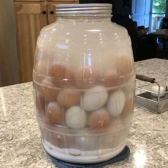 huevos de gallina