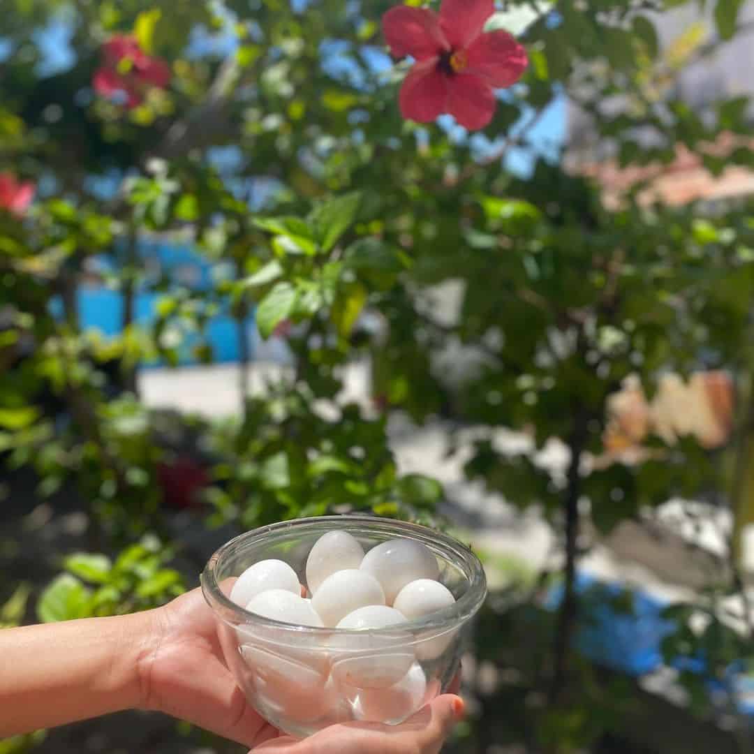 como saber si los huevos estan buenos