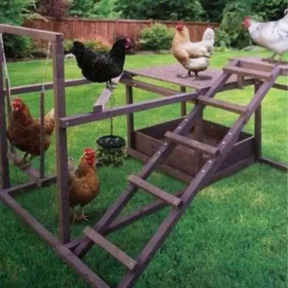 criaderos de pollos en Virginia