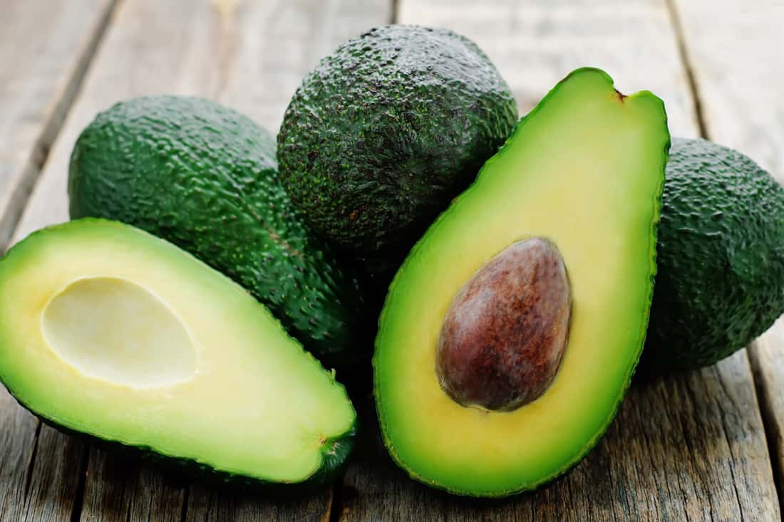 las gallinas comen aguacate